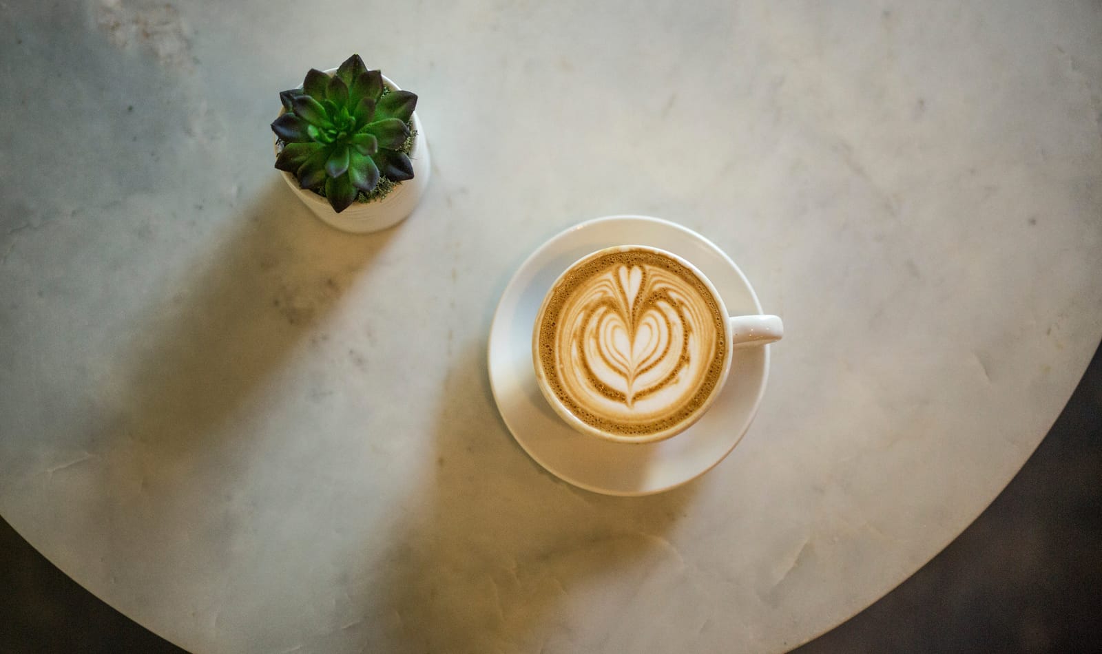 Concord Coffee photo 6