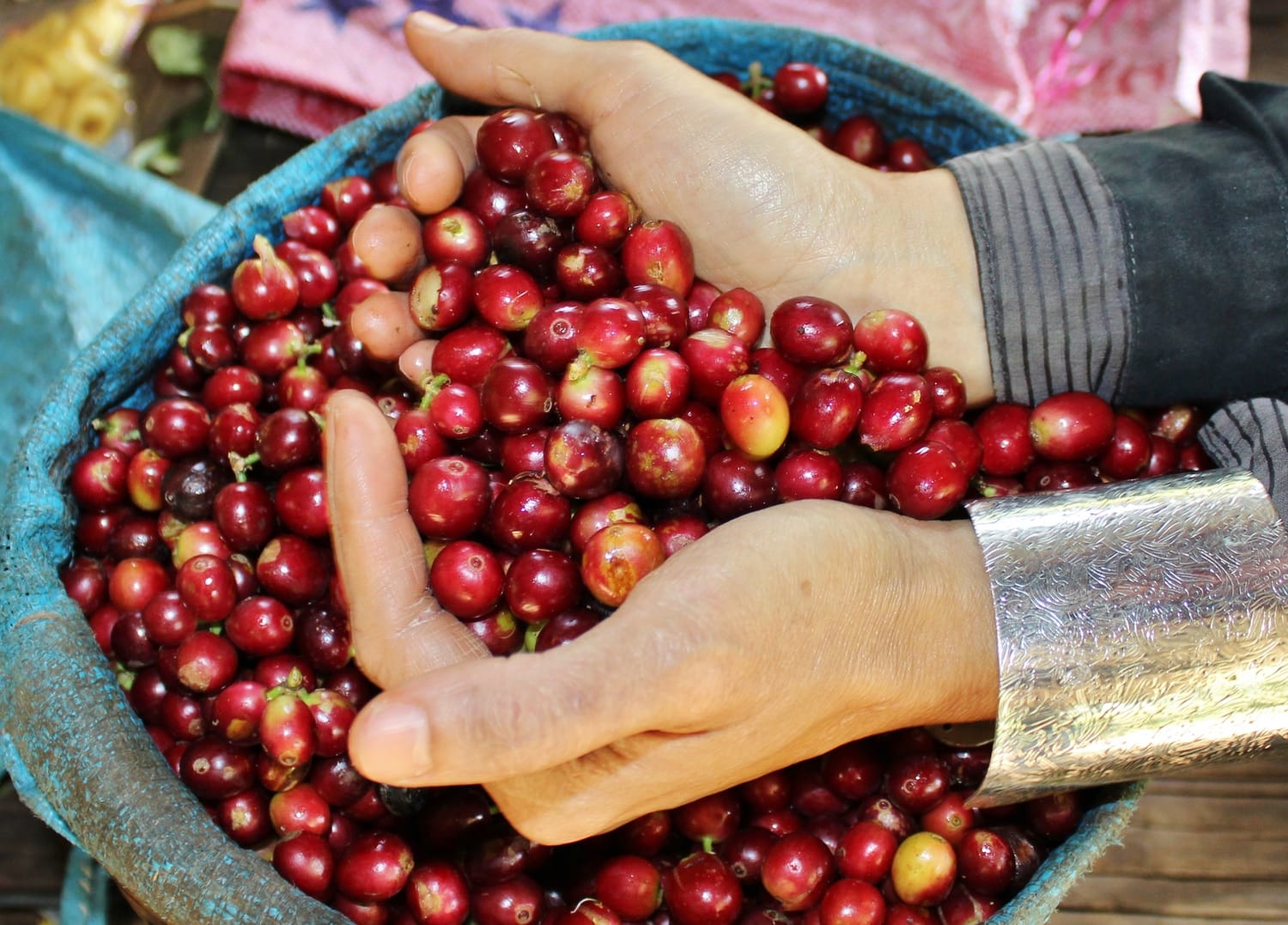 Blessed Bean Coffee LLC