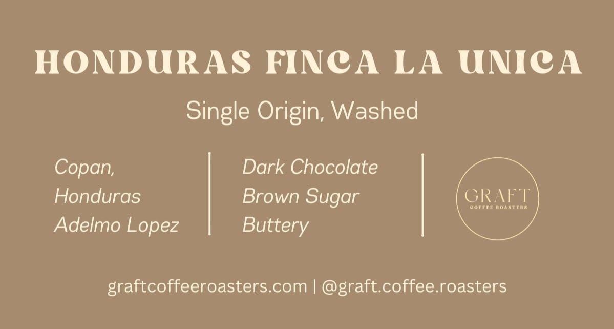 Graft Coffee x DP Cafe photo 5