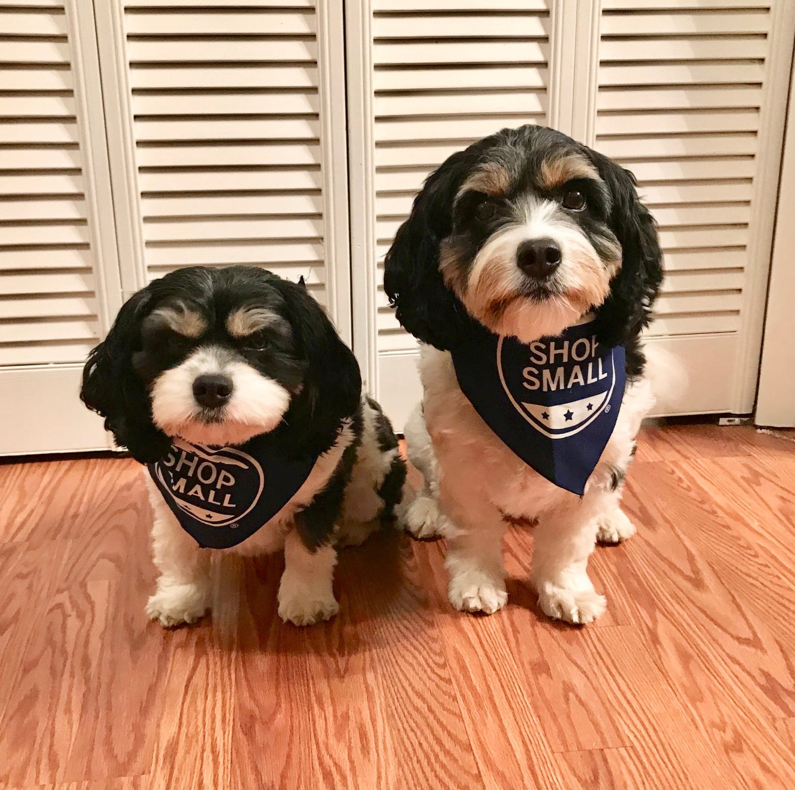 The Boys' Barking Bakery, Central photo 3