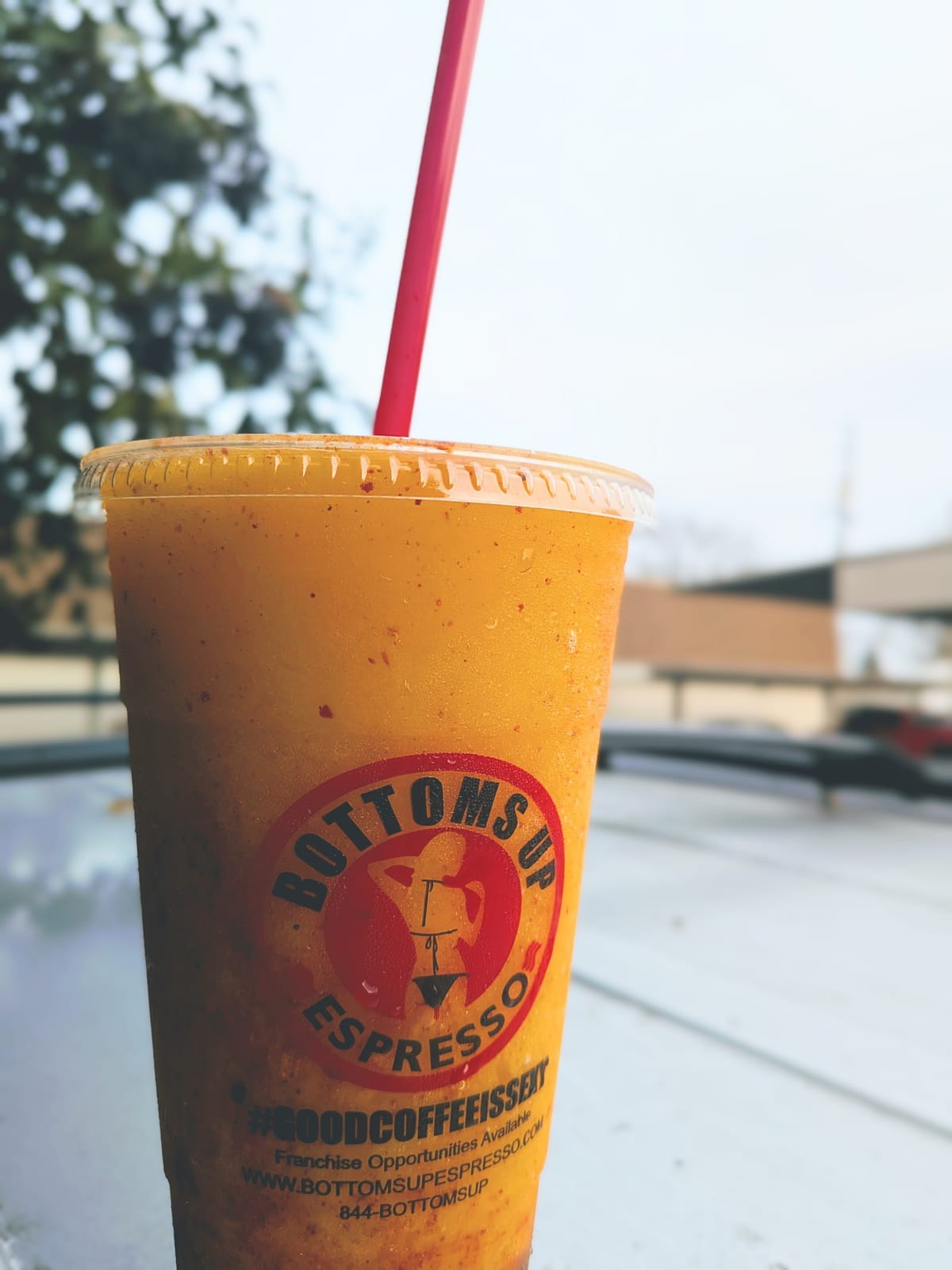 Bottoms Up Espresso