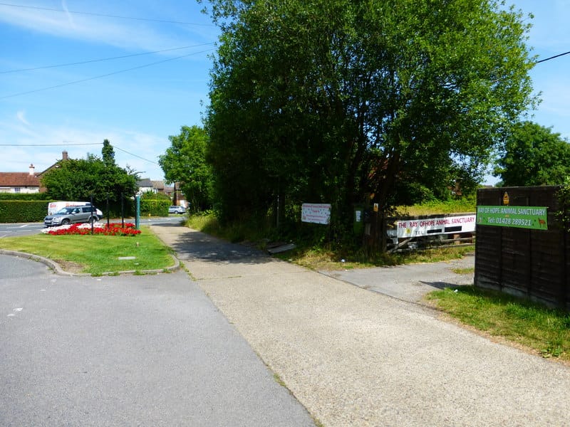 Squire's Garden Centre photo 3