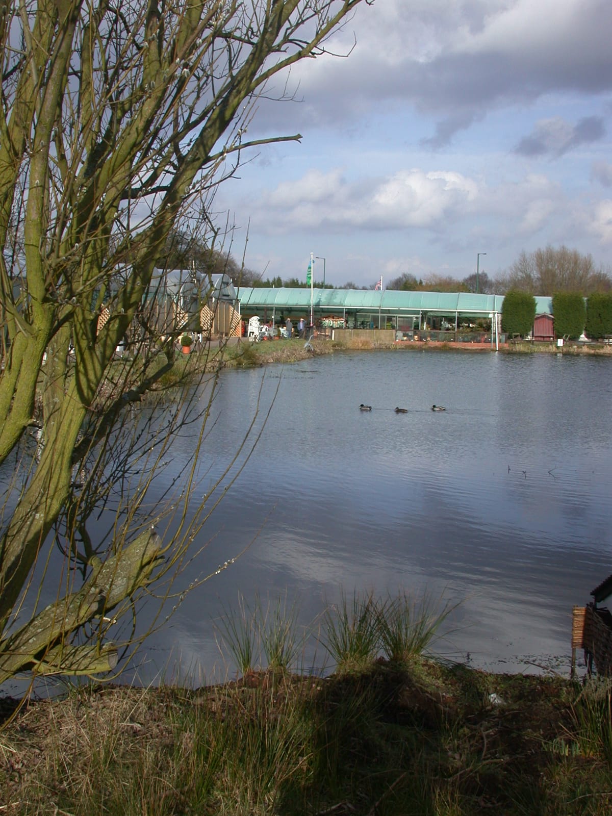 The Waterside Café photo 5