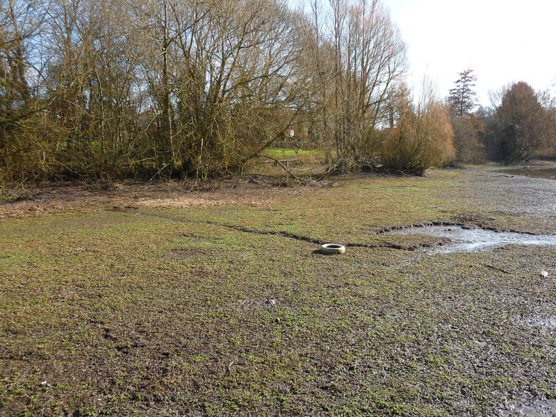Charlton Lakeside photo 9