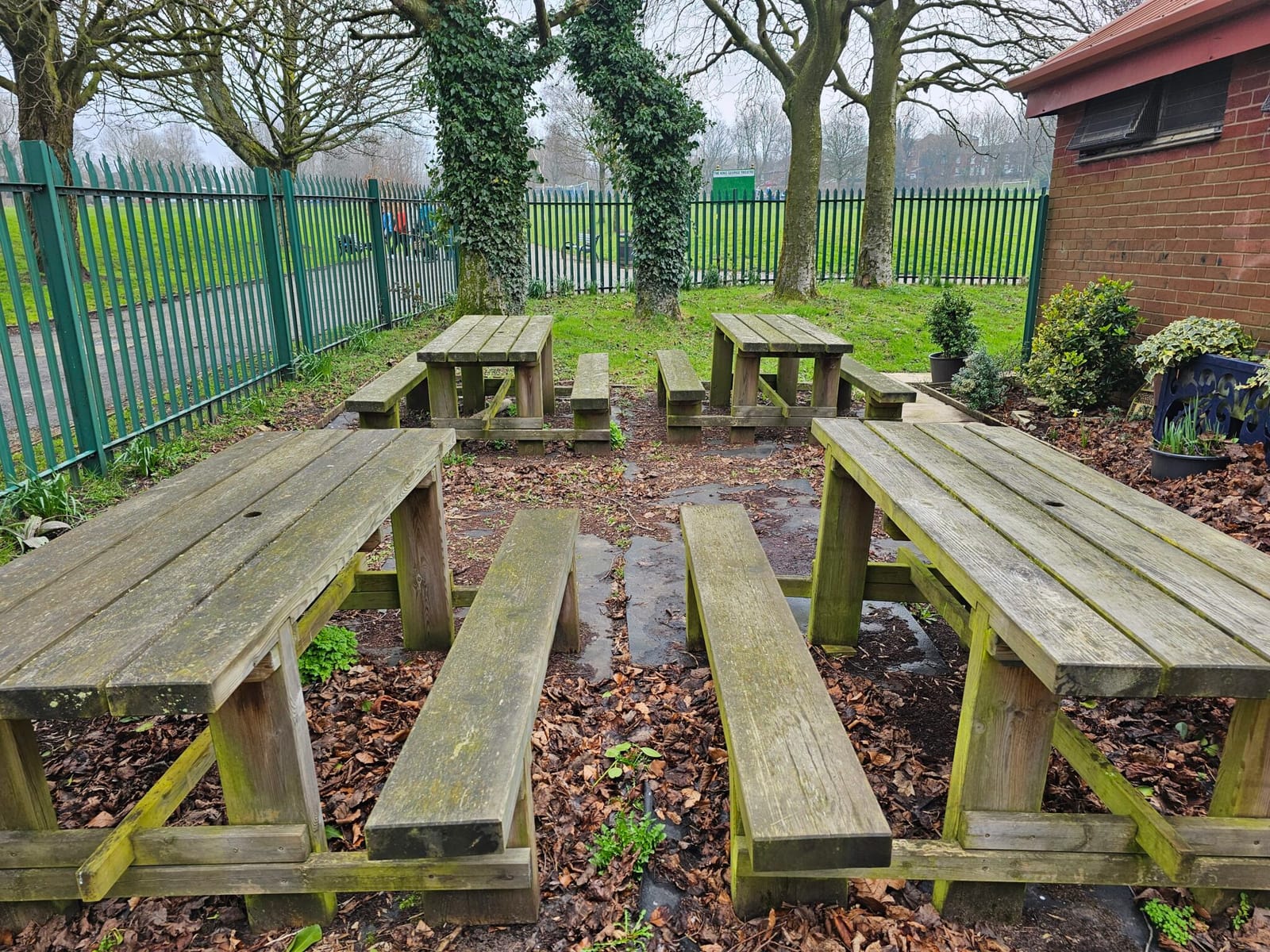 Georgie Porgies Cafe photo 5