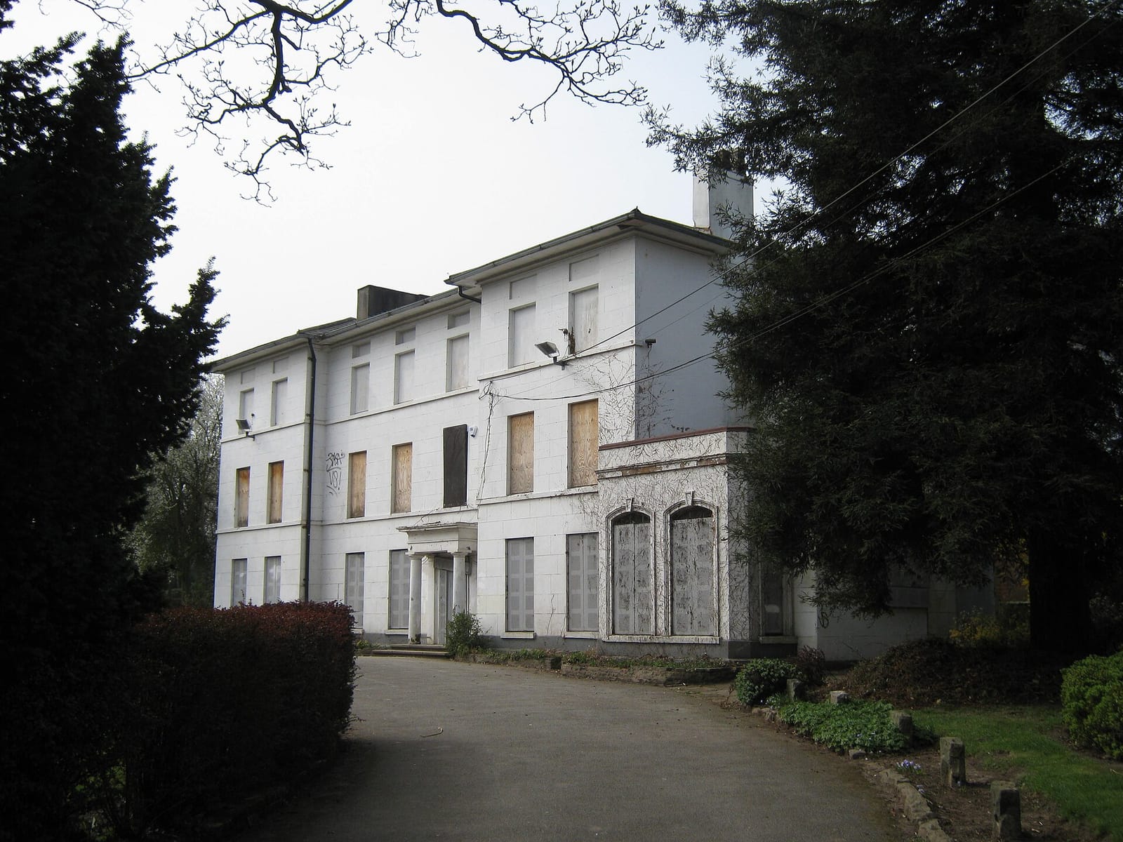 The Hive in the Park photo 2