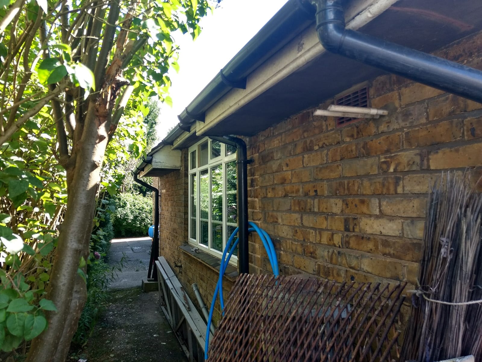 Theo's Cafe and Grill photo 2