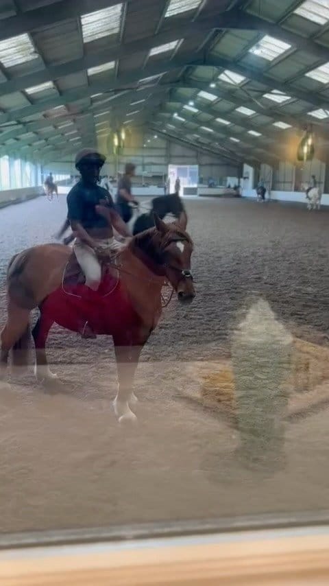 Equus Dining photo 6