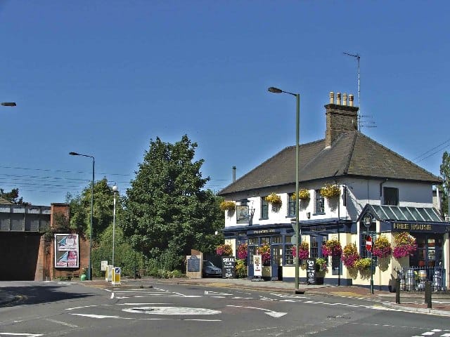 Sunshine Garden Cafe photo 3