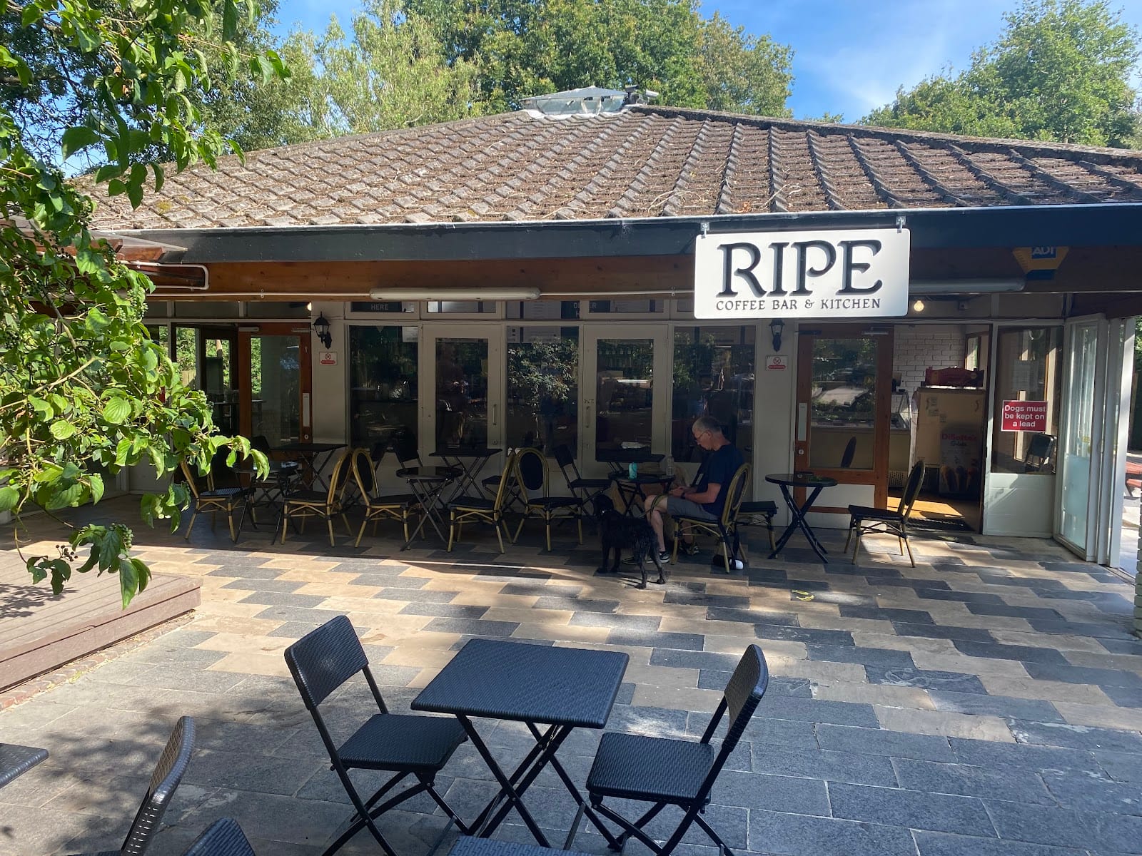 Ripe Kitchen