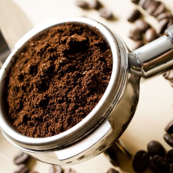 Spill The Beans photo 4