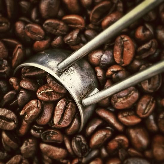Spill The Beans photo 2