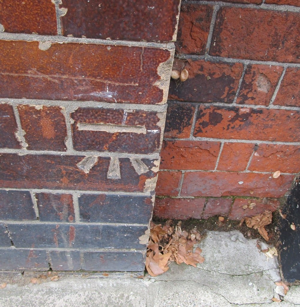 The Chelsea Gardener Cafe photo 6