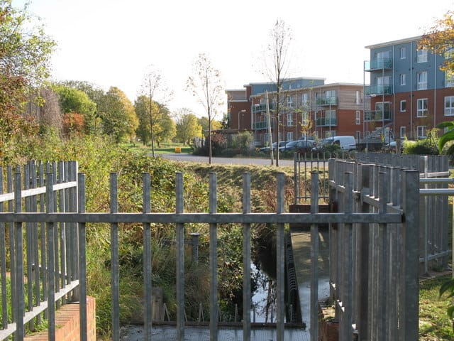 Georges Bromley photo 3