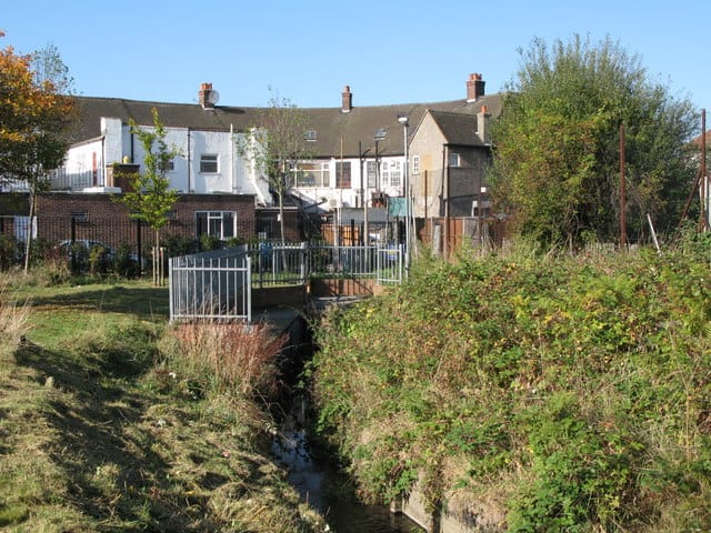 Georges Bromley photo 2