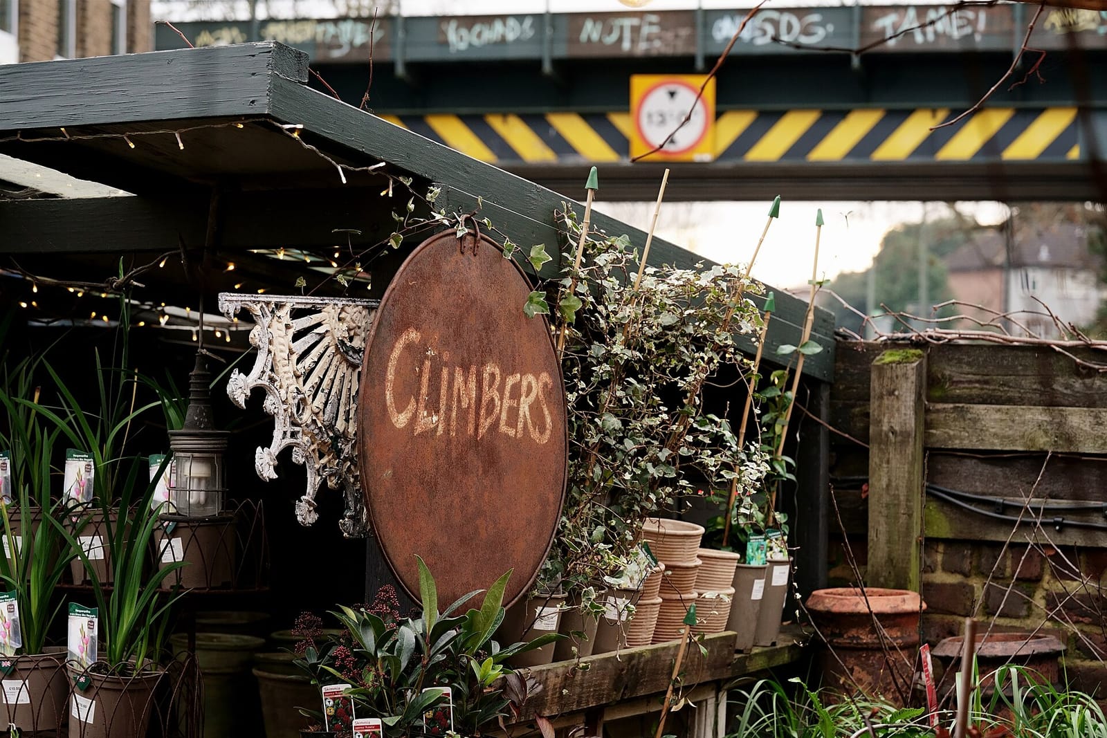 Nurseries café photo 5