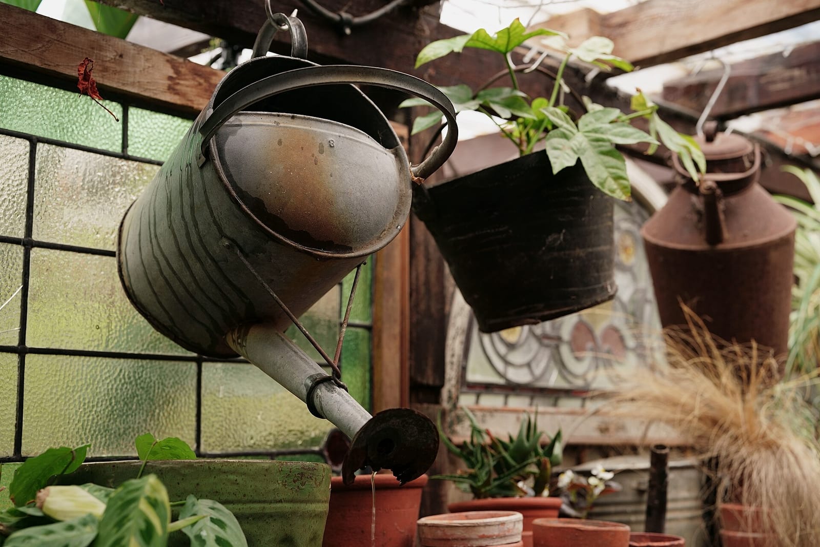 Nurseries café photo 3