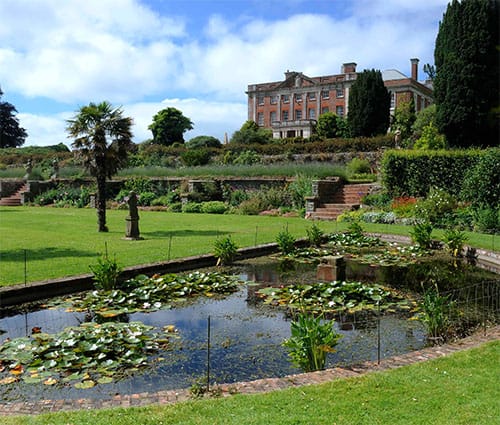 The Tea Rooms, Tapeley Park, Westleigh photo 3