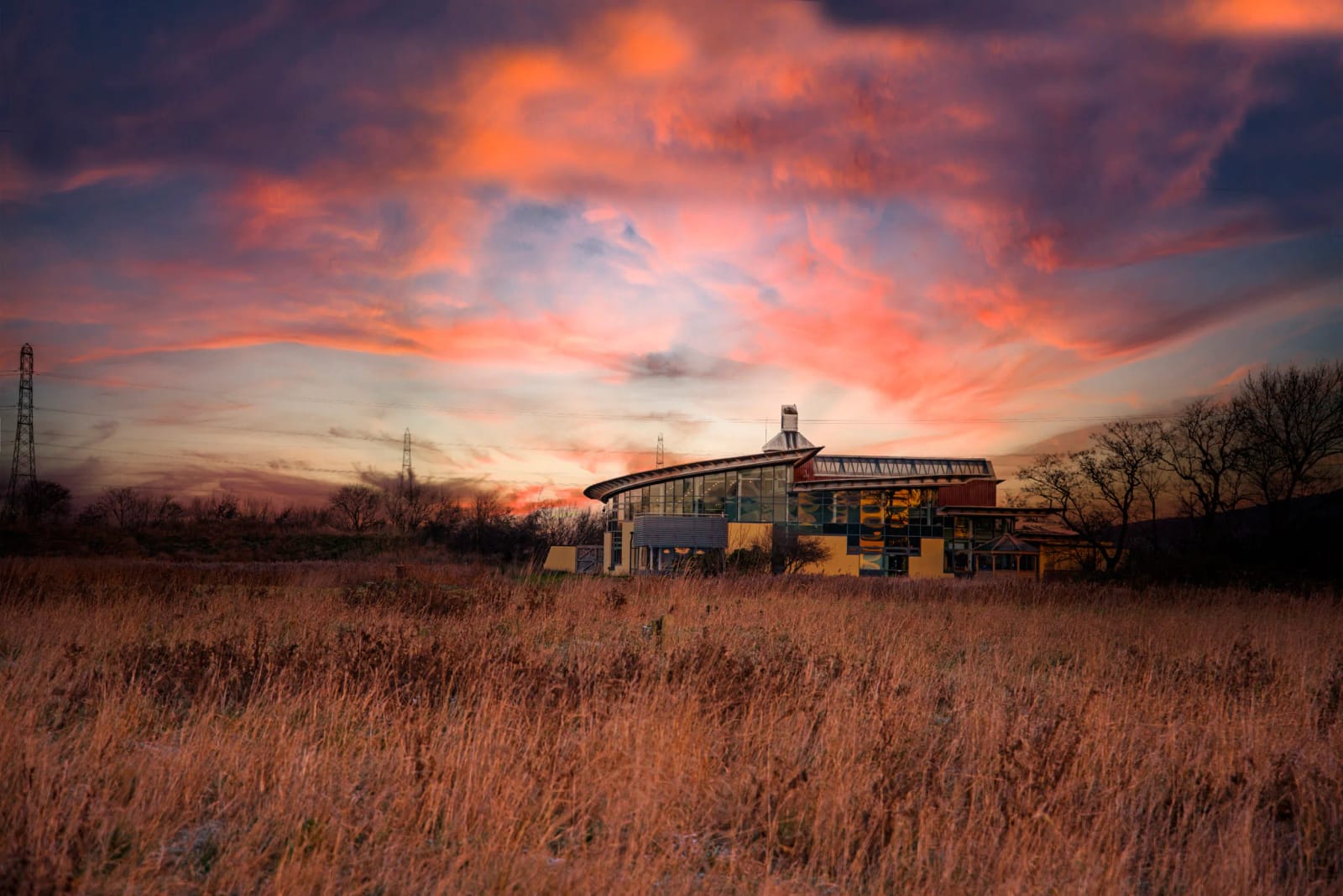 RSPB Saltholme photo 3