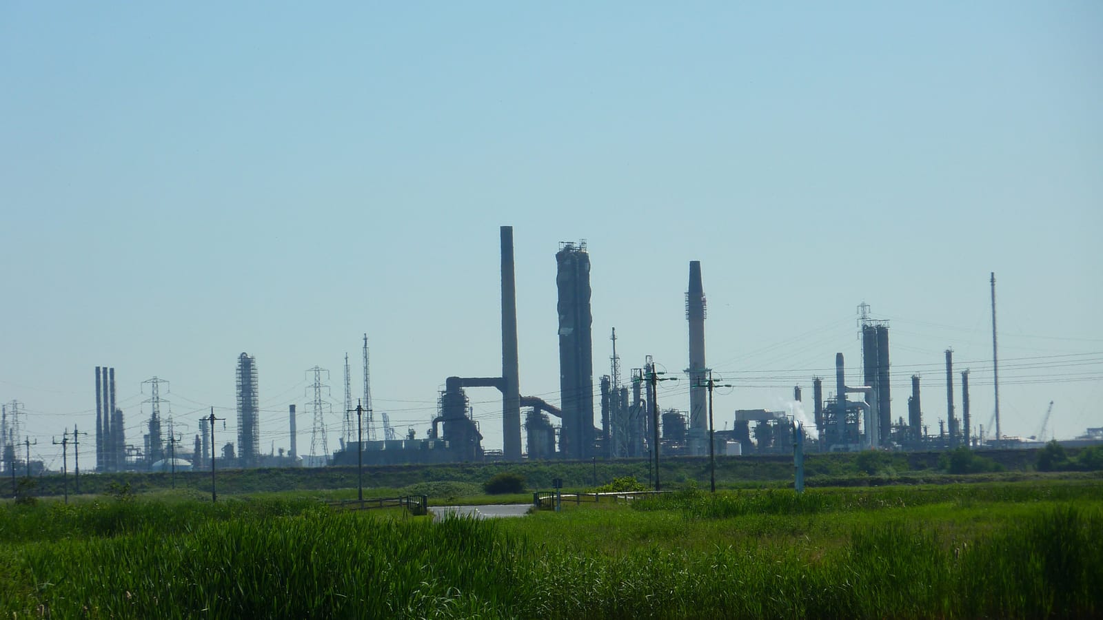 RSPB Saltholme photo 11