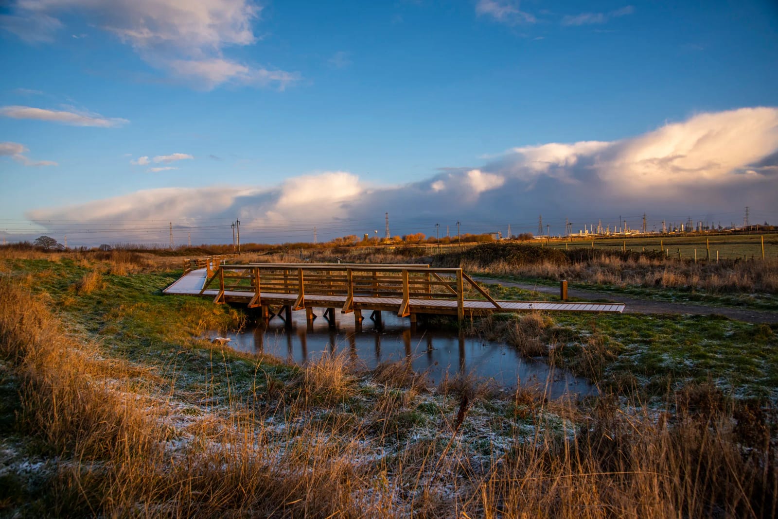 RSPB Saltholme photo 2