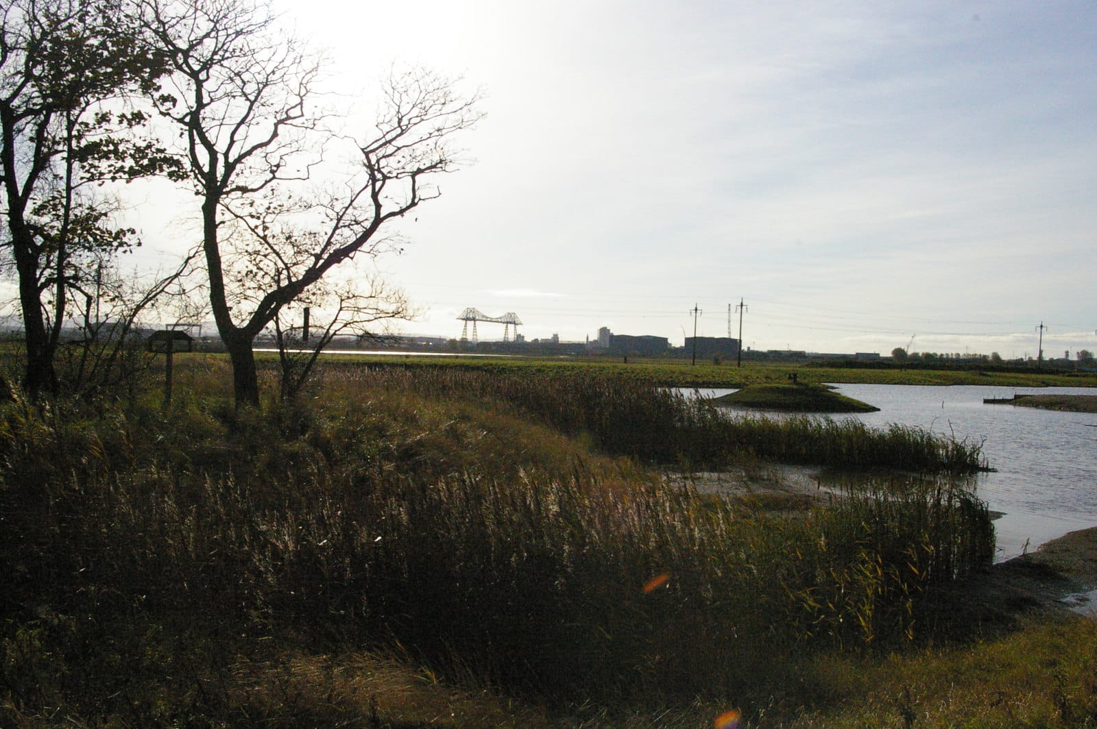 RSPB Saltholme photo 13