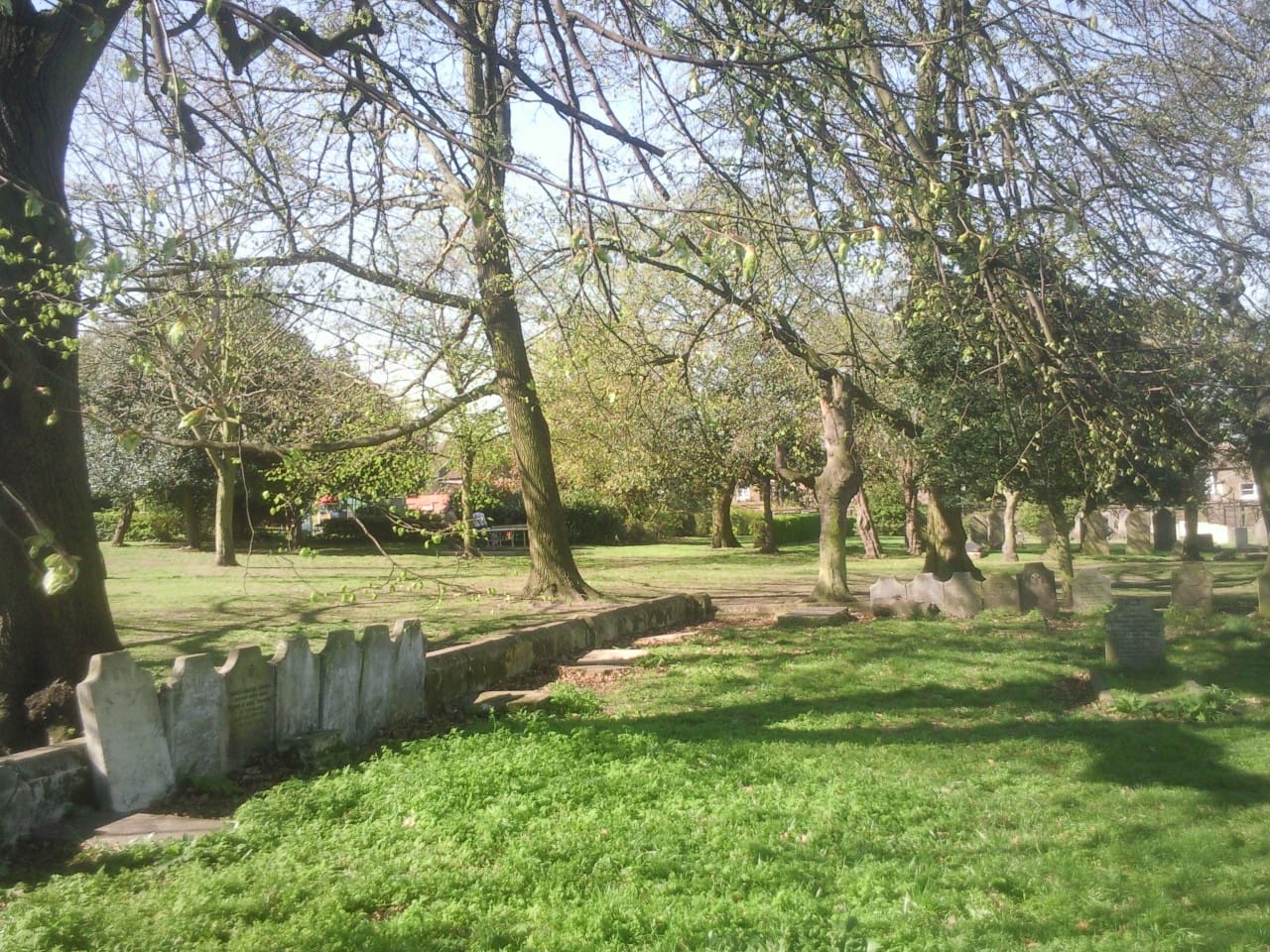 Pistachios in the Park Cafe - East Greenwich Pleasaunce photo 2