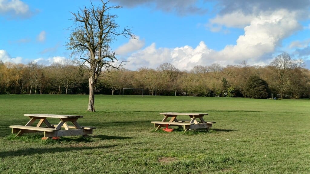 Eltham Park South Café photo 4