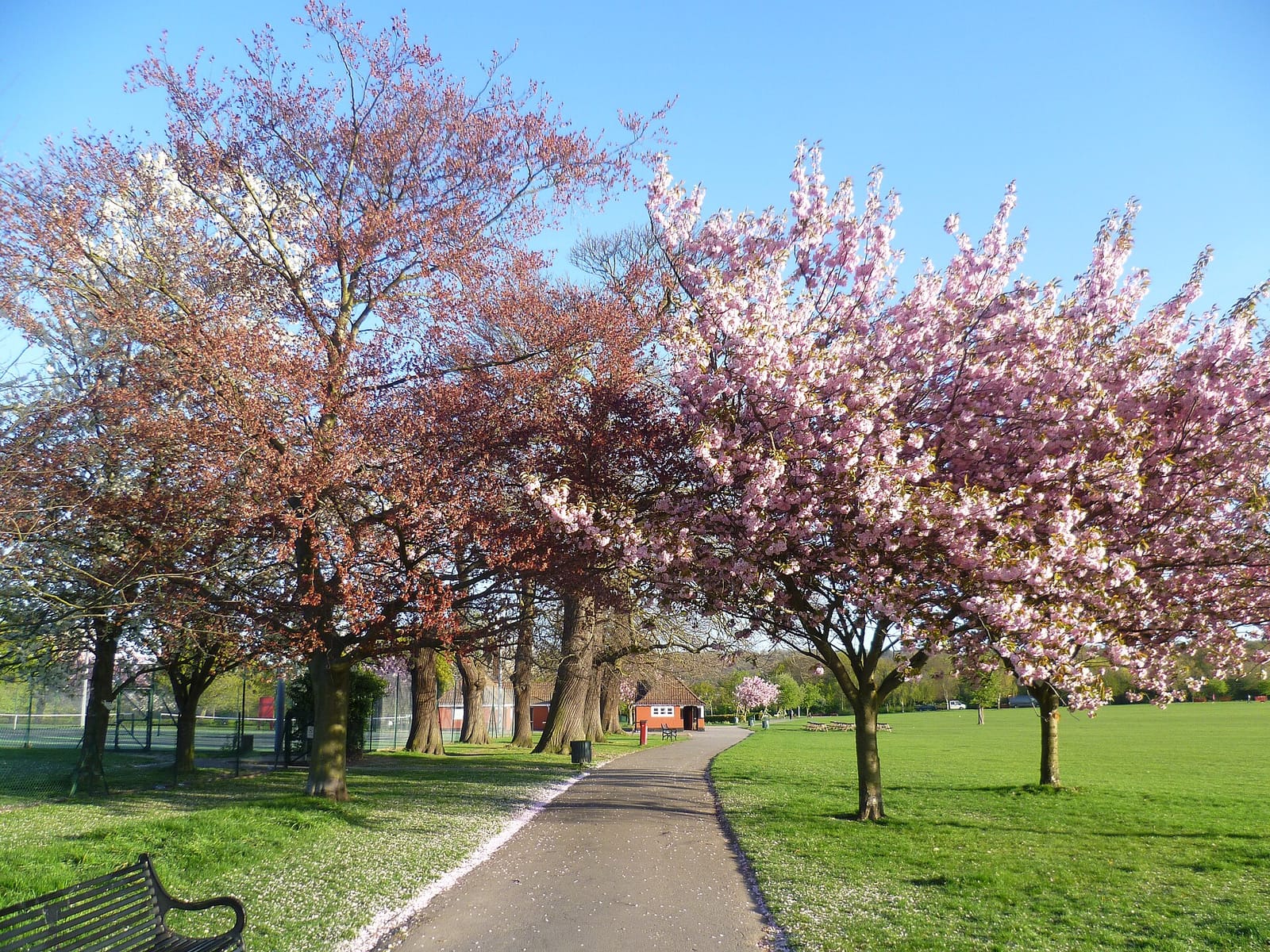 Eltham Park South Café