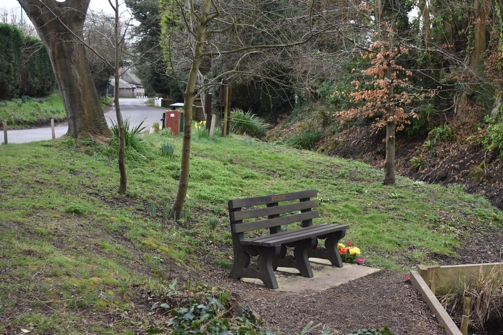 Sourdough Sisters photo 5