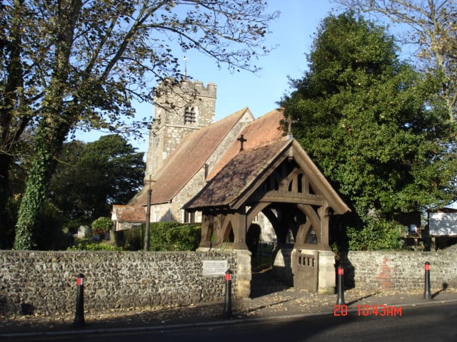 Bondwood photo 3