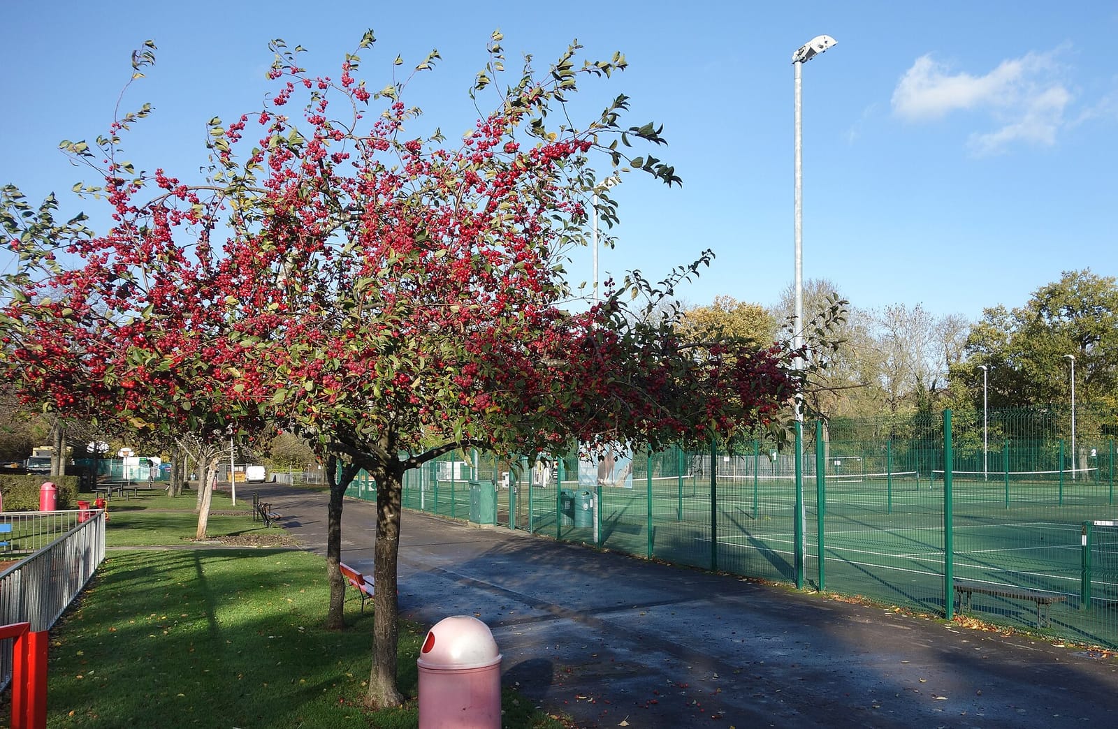 Jocks Lane Park Cafe & Pavilion photo 8