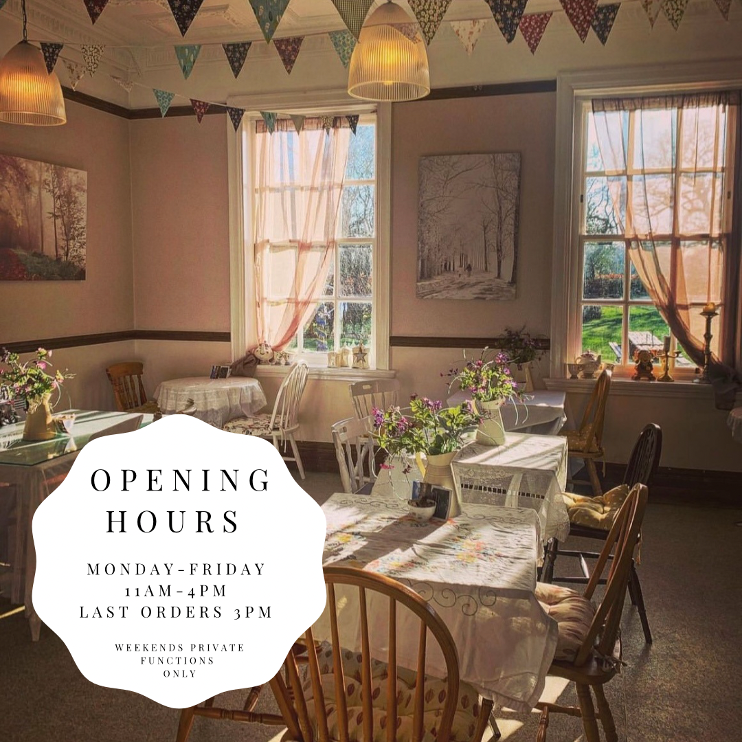 Merrymeade Tea Room photo 2