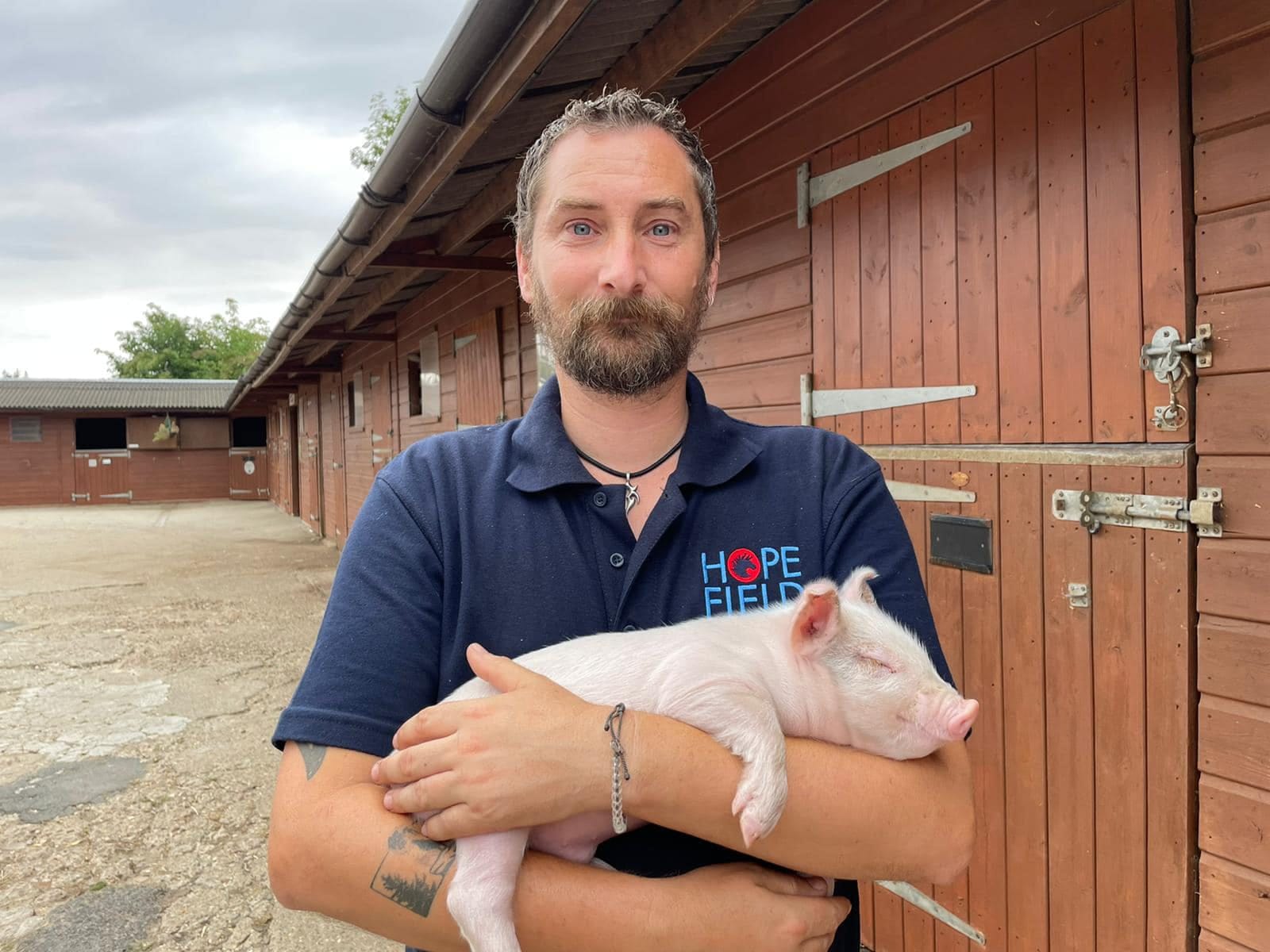 Hopefield Animal Sanctuary & Visitor Centre photo 2
