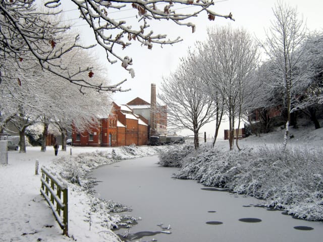Victoria Park Community Centre photo 5