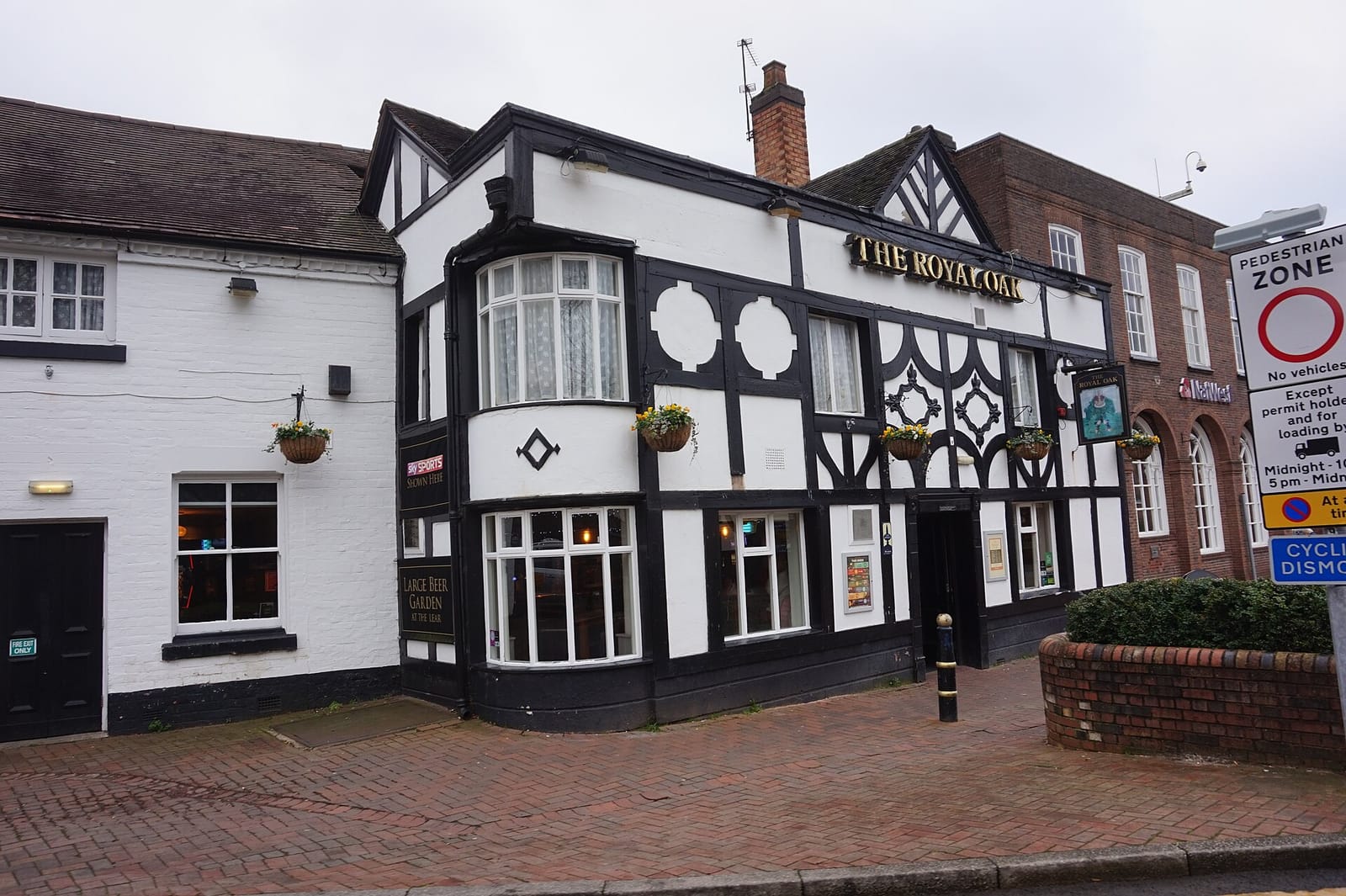 George & Bertie's photo 2