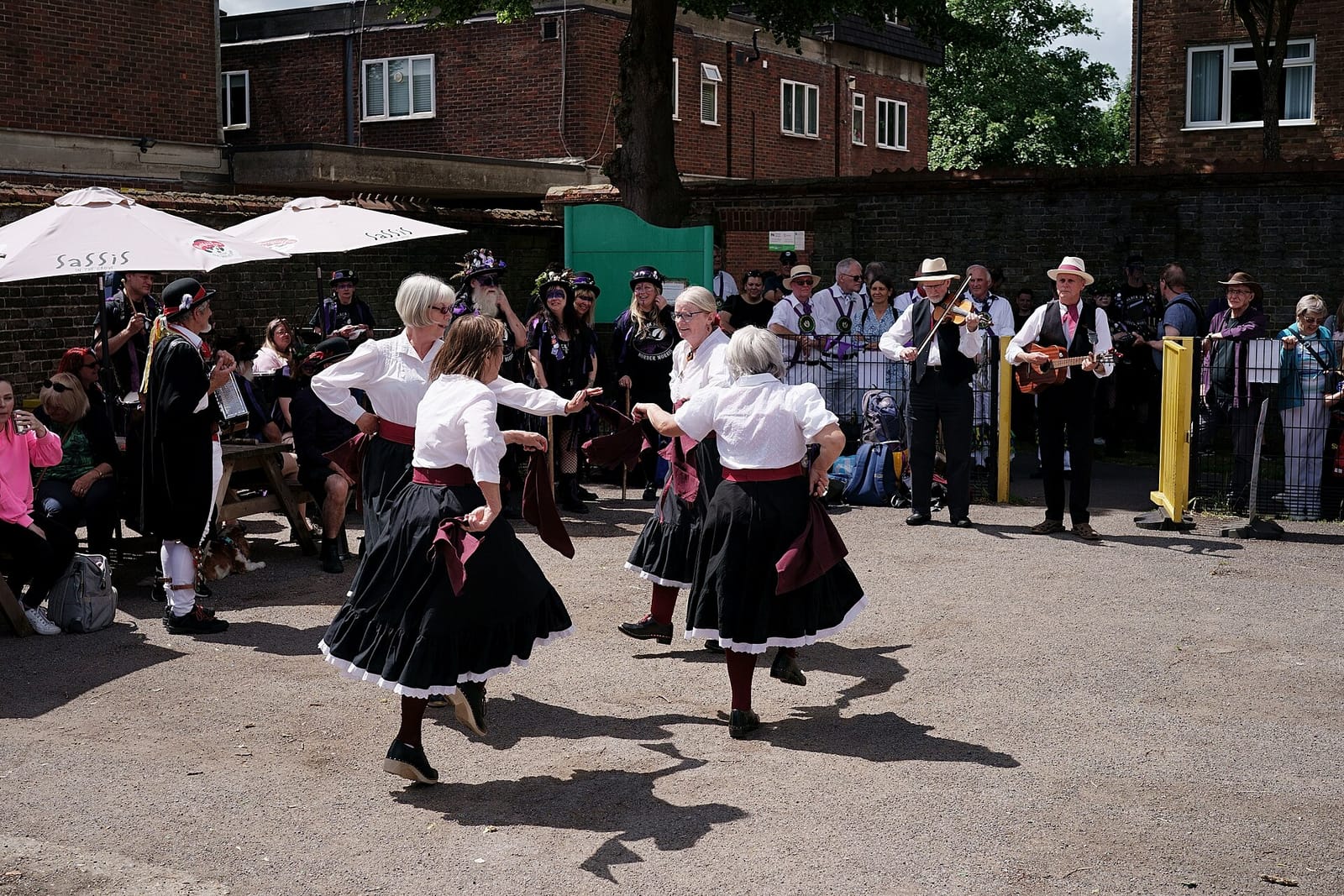 Sassis in the Grove photo 3