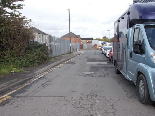 Busy Lizzie's photo 3