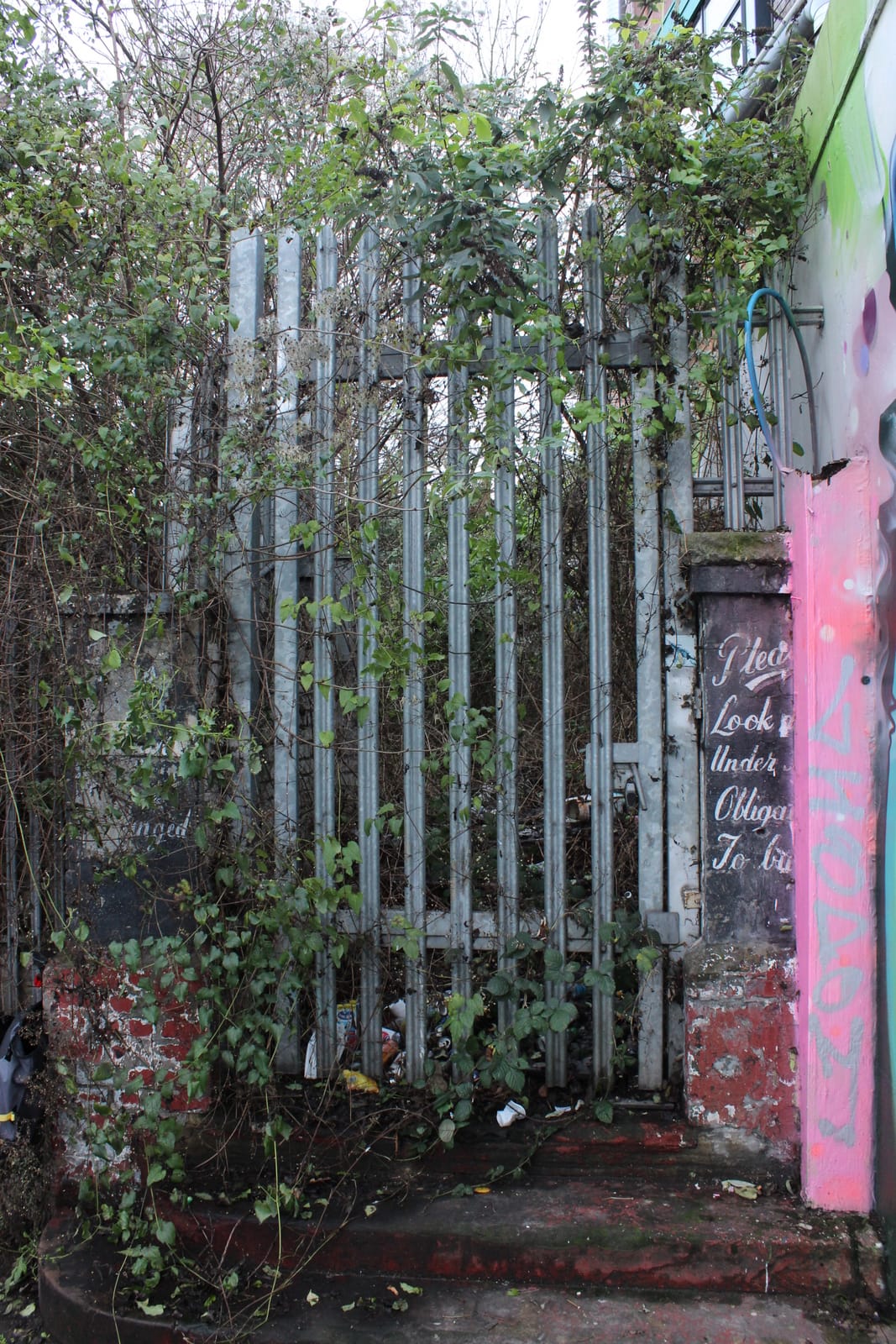𝐲𝐮𝐦𝐞. photo 4