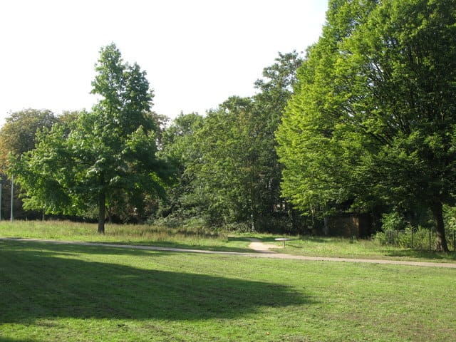 Frothy Coffee Hut - Manor Park photo 3