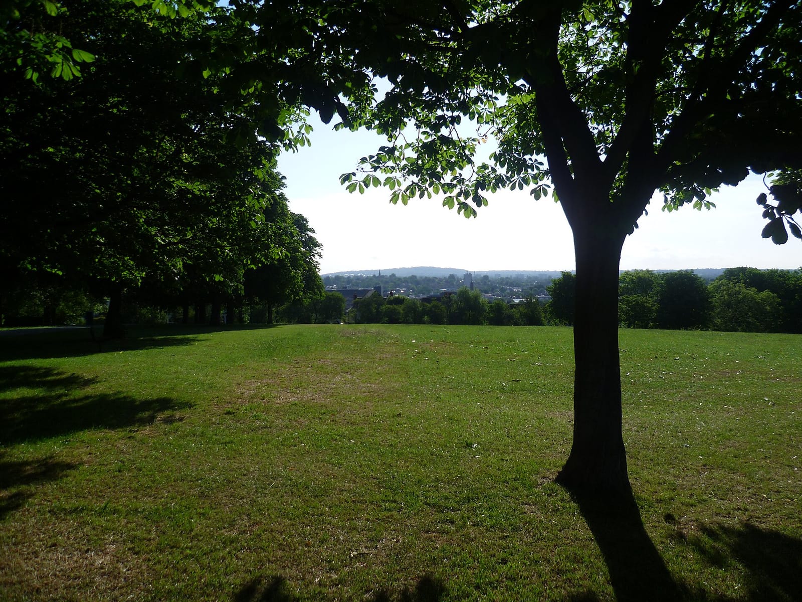Pistachios in the Park photo 2