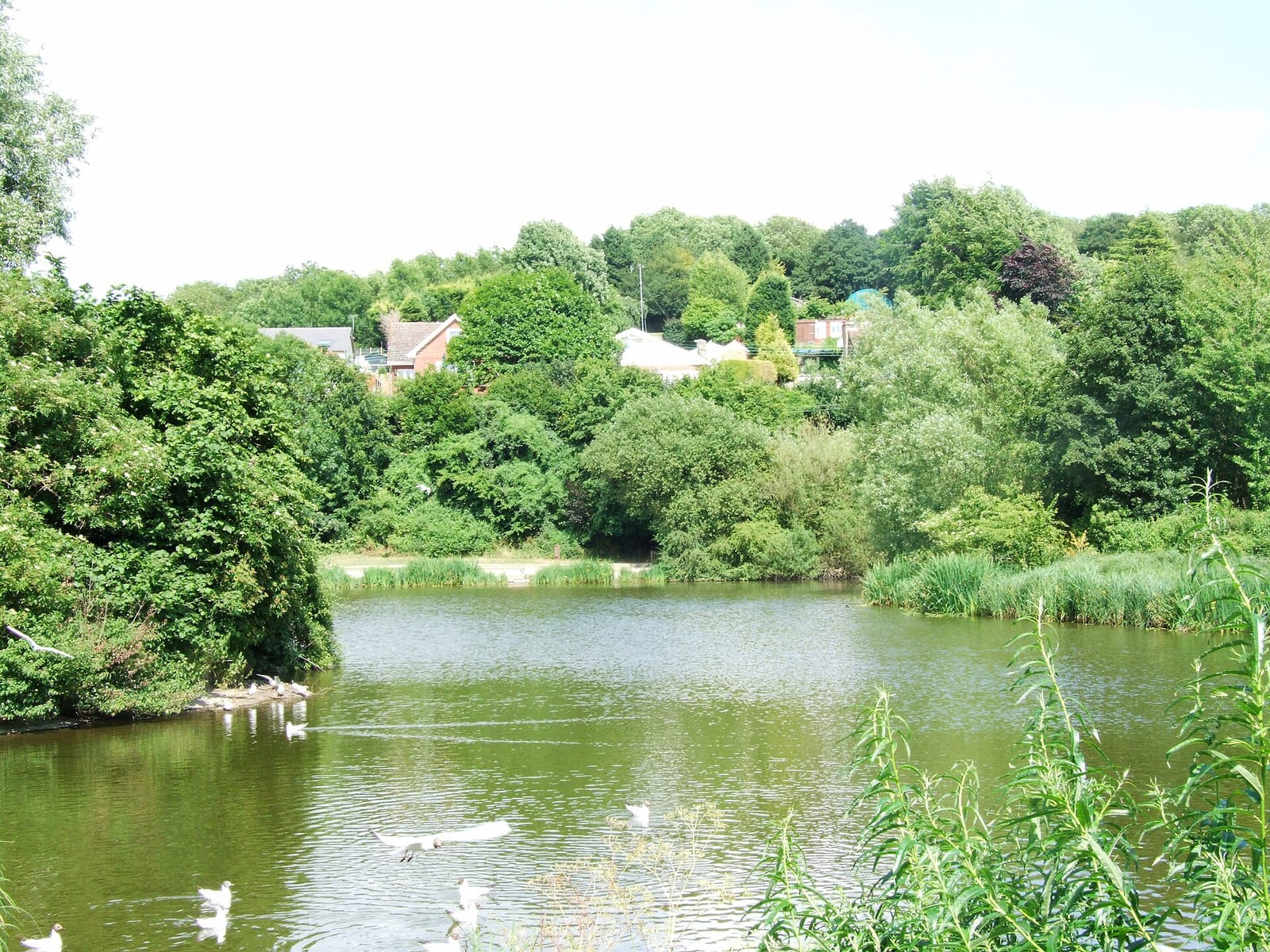 Capstone Farm Country Park Cafe photo 2