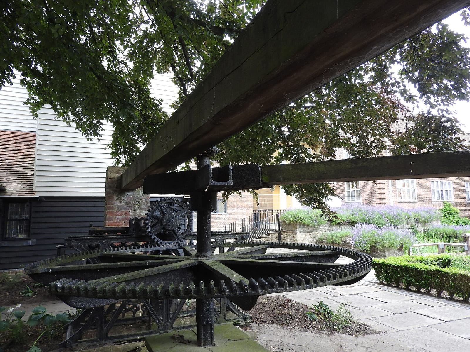 Jaspers community cafe photo 4