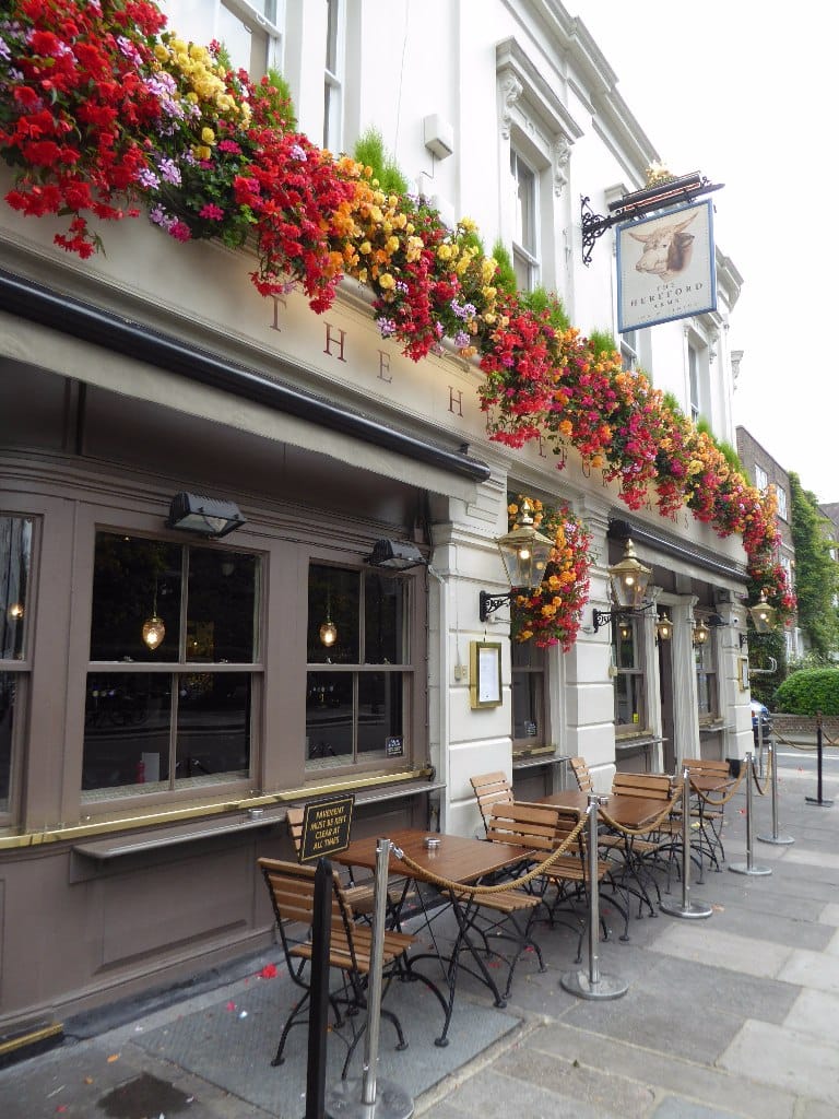 Elixis – Brunch Cafe Gloucester Road South Kensington photo 9