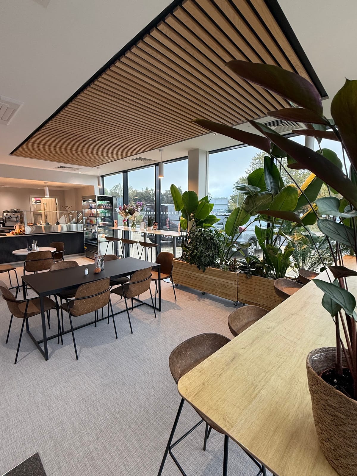 Theos cafe and Co