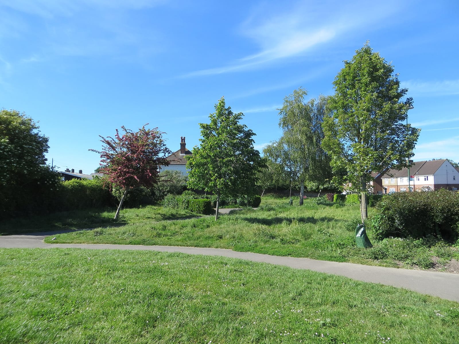 Julie’s Kiosk at Florence Park Chichester photo 3