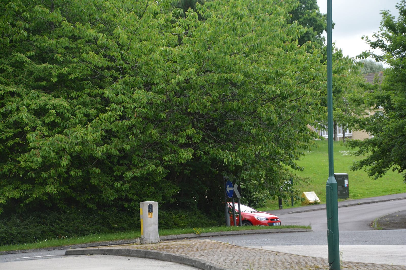 Morrisons Cafe photo 5
