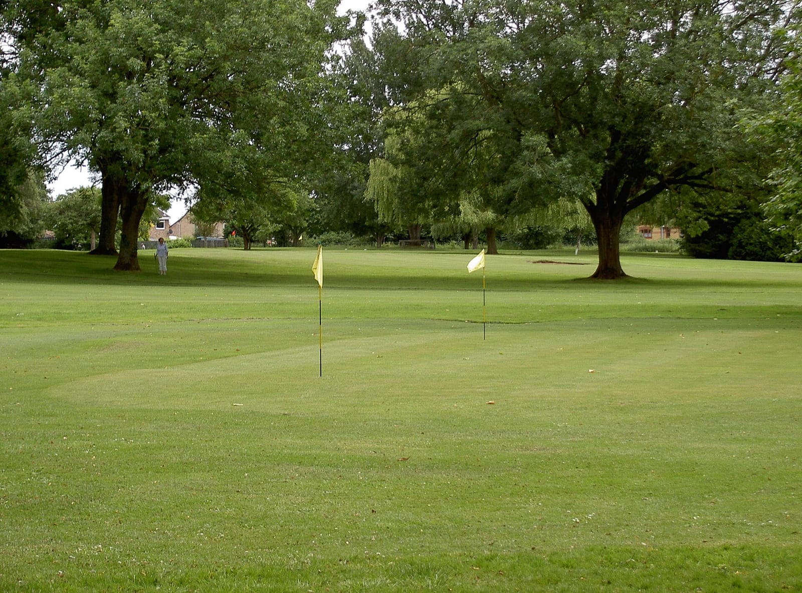 Monkton Park Golf Course & The Tenth Hole Tea Room photo 2