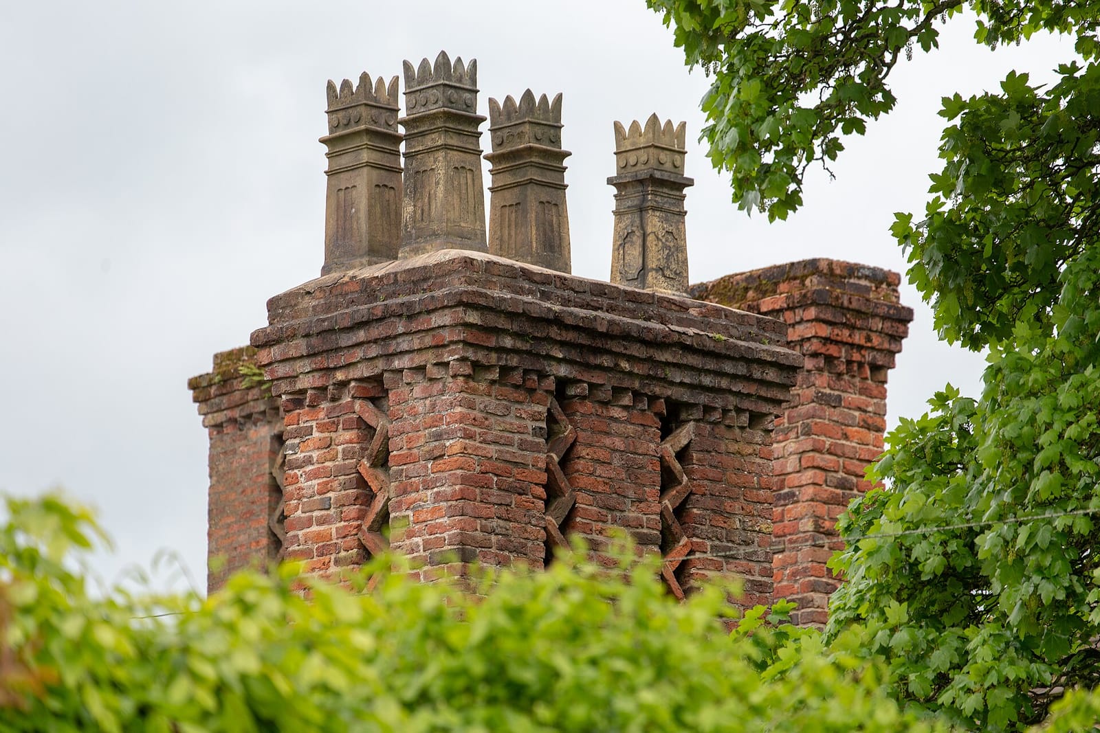 Café Ambio, Astley Park photo 3