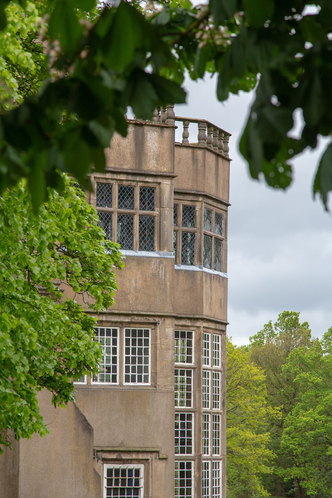 Café Ambio, Astley Park photo 4